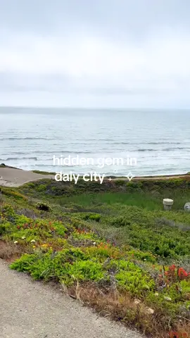 idk if it’s hidden tbh but it’s a pretty little walkie walk!  #sanfrancisco #sf #dalycity #thingstodoinsf #sunset #beach #beachvibes #hiddengems #fypシ゚ 