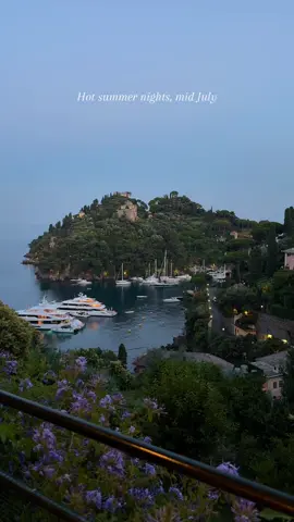 Nights in Portofino  #fyp #aesthetic #Summer #europeansummer 