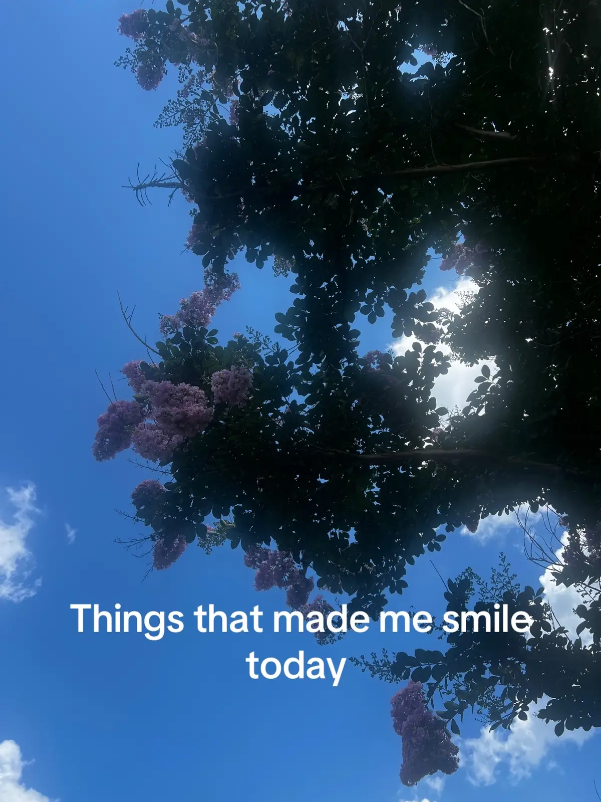 #fyppppppppppppppppppppppp #viral #trendingnow⚡ #Love #heaven #mindset #healthy #tiktok #goviral #tiktokfamous #tn #clairfieldtennessee #flowers 