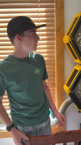 Here is an update on  my son’s bedroom beehive. 