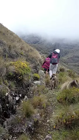 Caminar entre las montañas y respirar el aire puro #comenta #Incahuasi #TikTokAndino #laguna #costumbres #LambayequeAndino 