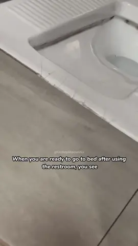 Cockroaches: The Best Friends🪳😫#foryou #crazy #cockroaches #funny #funnyvideos #animals #fyp 