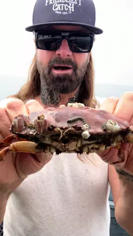 Barnacle Chronicles #asmr #friendliestcatch #barnaclechronicles 