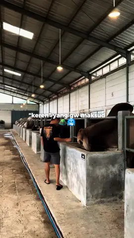 panutan☝️🤲#setyahermawan #setiafarm #peternakmuda #bosmuda #juragansapi #ternaksapi #sapi#xzybca  #fy #fypシ #fypage #fyppppppppppppppppppppppp 