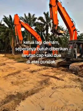 #CapCut #chipingsawit🌴 #fyp #foryou 
