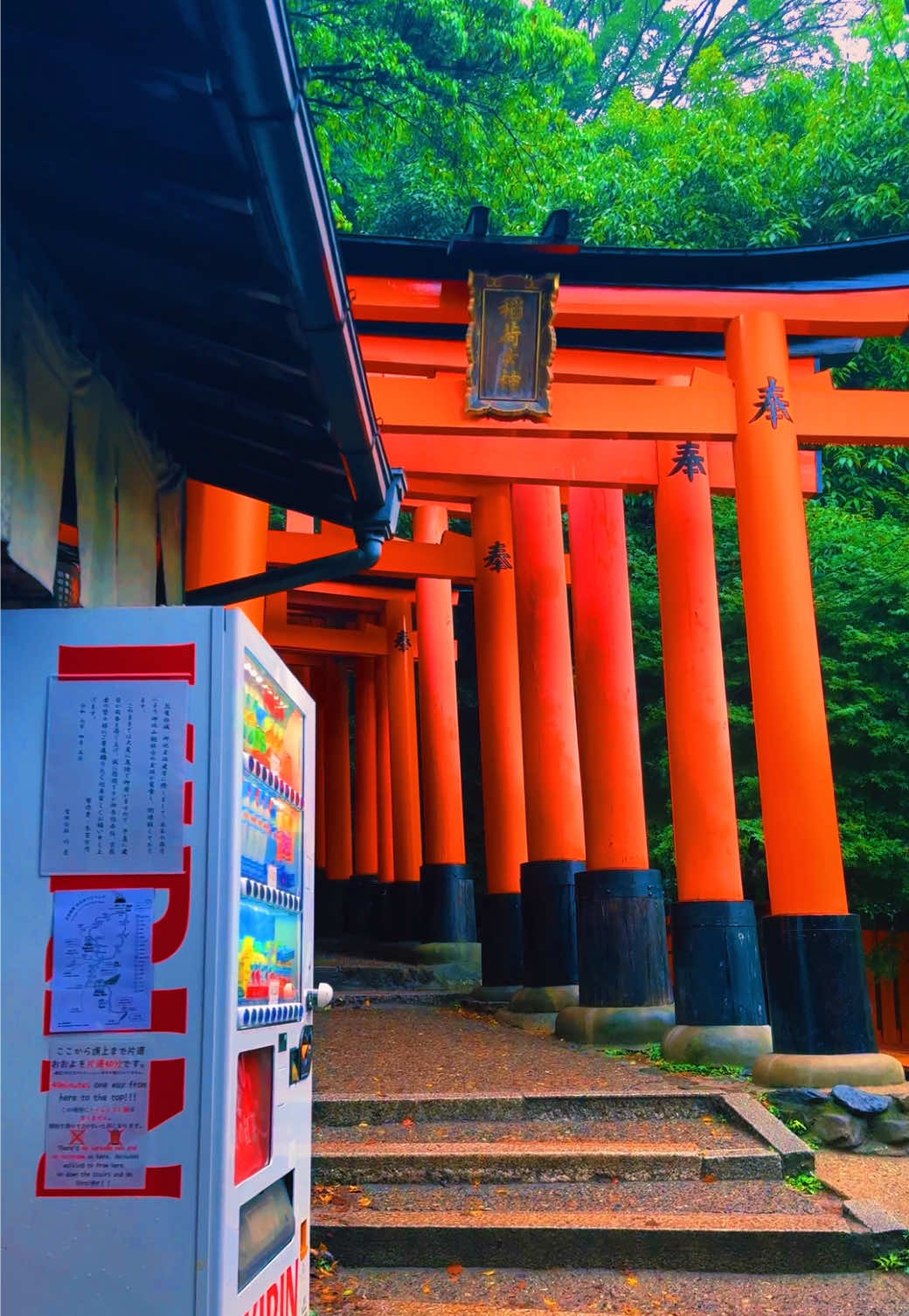 Japan🇯🇵   📸 iPhone