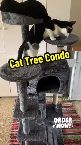 Cat Tree Condo  #CapCut #CatTreeCondo #melodythecat #cat #cattok #catlover #pet #pets #gift #deals #deal #dealsoftheday #tiktokdealstoday #dealsforyourdays #cattree #multilevel #multilevelcattree 