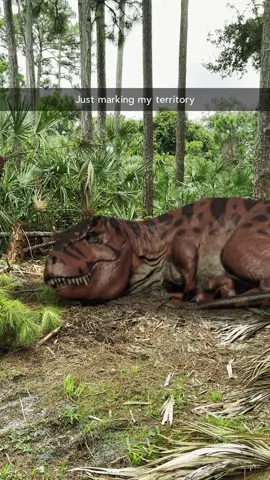 I guess this spot’s taken😔 #jurassicworldrebirth #jurassicworld #jurassicpark #dinosaur #trex 