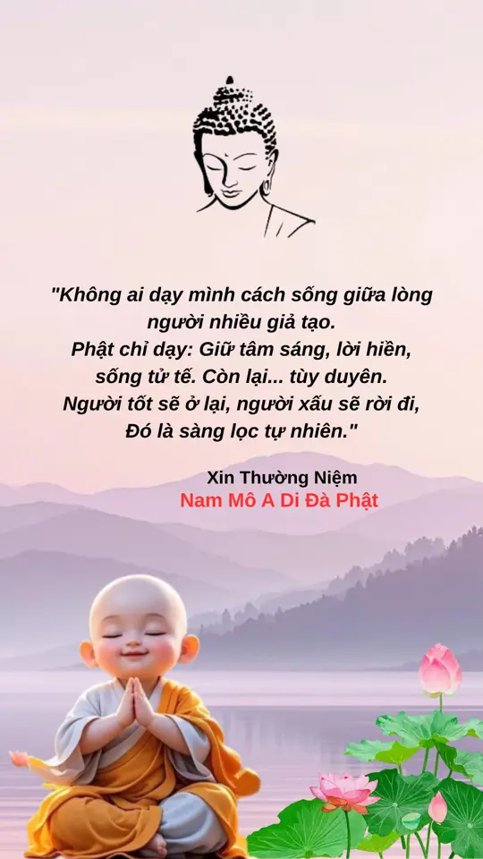 #loiphatday #tamansongvui #phatphapnhiemmau #phatphap #ynghiacuocsong #phatphapvobien 