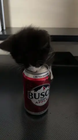 #beer