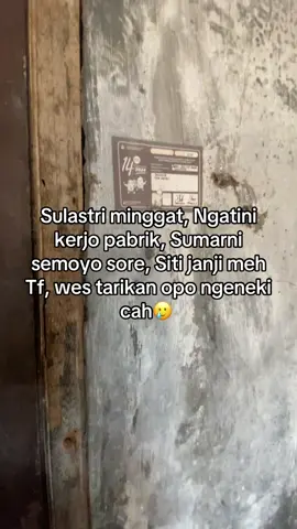 #pnm #plecit #pnm_persero #berandamuu #koprasimingguan 