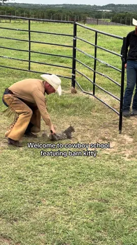 No cats were harmed in the making of this video… he’s getting all the love. Thanks for the explanation @John Clinch #coltstarting #horsetrainer #cowboy 