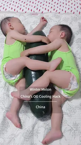 Winter melon -  China’s ultimate summer cooking must-have. Keeping babies cool in summer. Ancient cooling hacks. #summercooling #Summer #coolingmethods #babies #kinds #ancient #chinesetiktok #foryou #chineseculture 