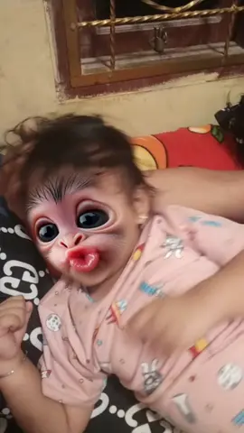 😂😂😂😂