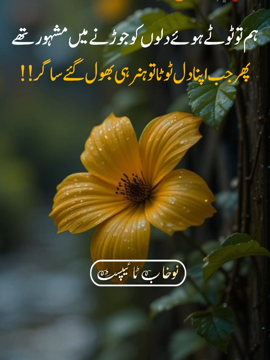 #foryoupage #nadantypist_01 