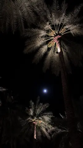 #قمراء__تصويري #foryou #fyp #🤍🤍 