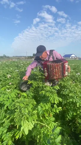 #настроение #садогород