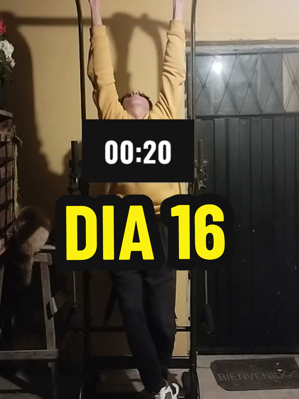 Dia 16 #aguante #fyp #motivacion #cambio #tiktok 