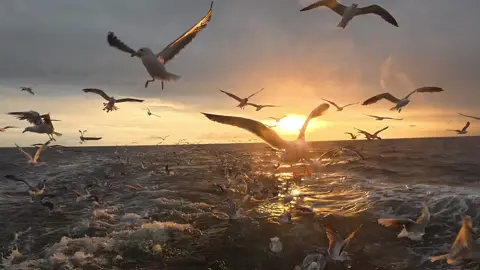 Guten Morgen zusammen 