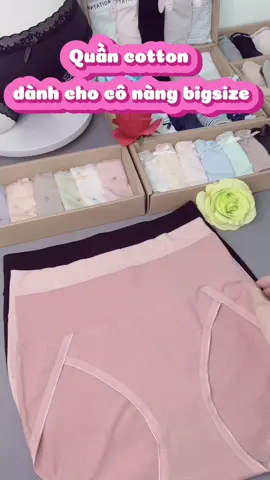 Quần chip cho cô nàng bigsize , chất thun cotton mềm mịn, co giãn tốt #bigsize  #dolot #bikini #noiynu #quancotton #muataitiktokshop #xuhuong2025 #foryou #nam_dochipxinh  @Nấm_đồchipxinh  @Nấm_đồchipxinh  @Nấm_đồchipxinh 