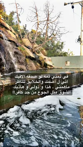 #اكسبلور #foryou #تصويري #نرجسيه #صيف 