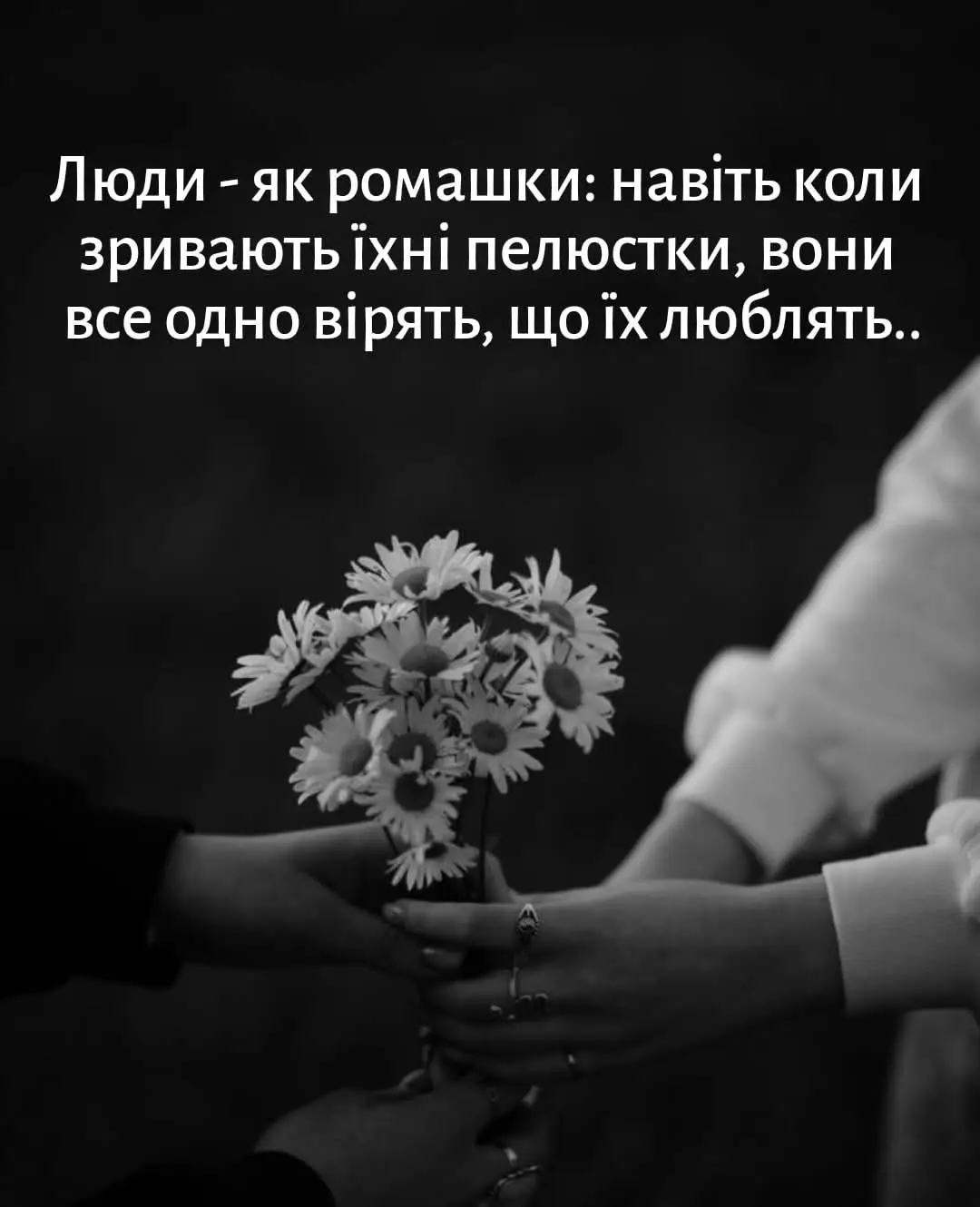 #людиромашки
