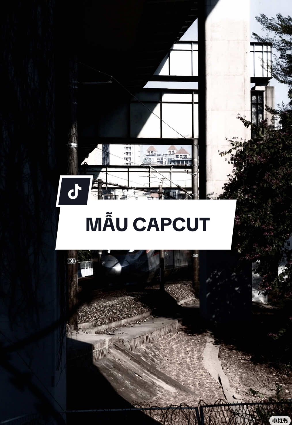 #CapCut Ít thôi nhé em hỡi…#nhachaymoingay #viral #maucapcut #xuhuongtiktok 