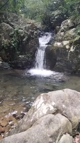 suối rừng ngoạ Vân.