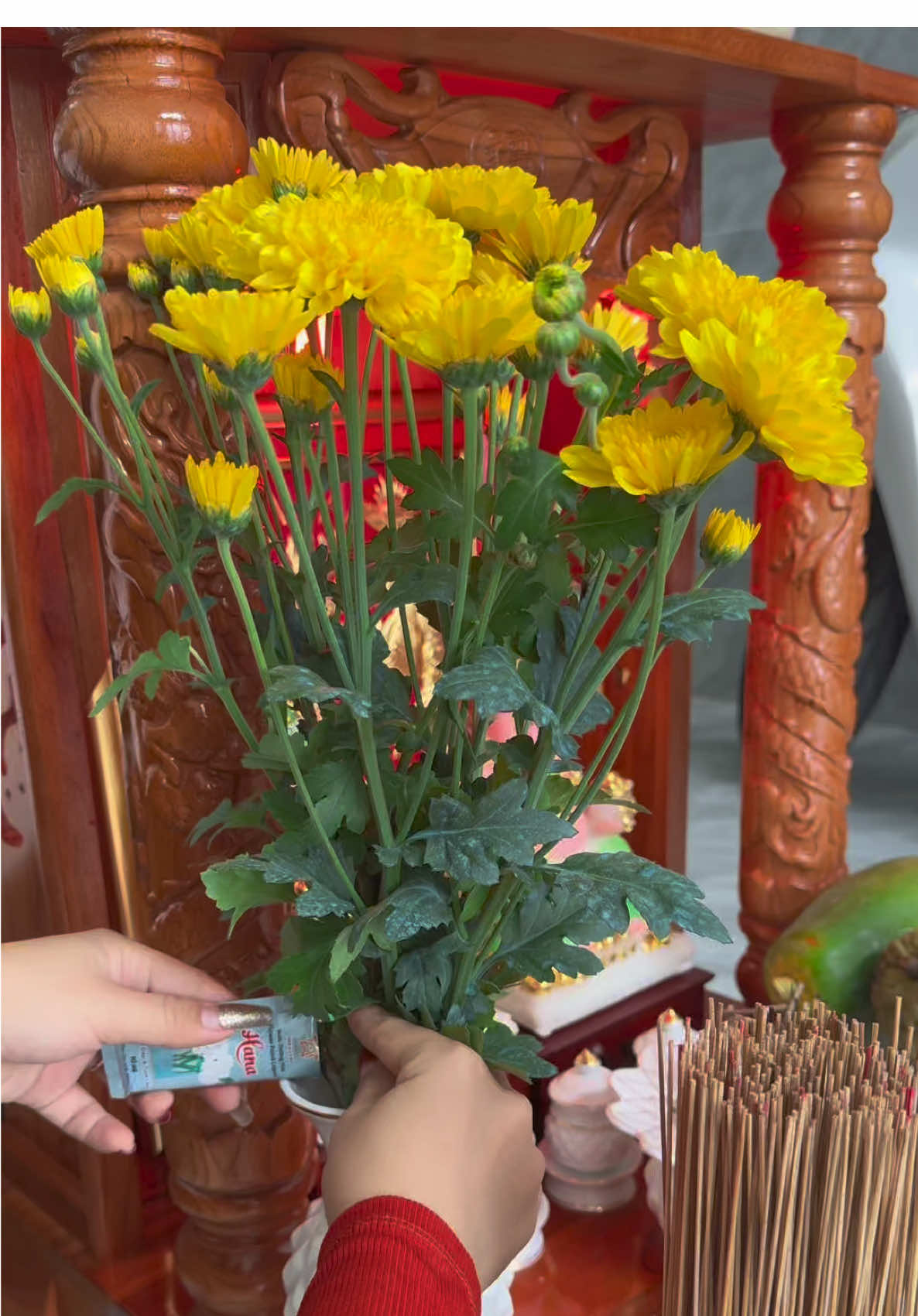 Hộp 50 Gói nước dưỡng hoa chưng hoa tươi lâu #emkieutaphoa #nuocduonghoatuoilau #nuocduonghoa #nuocduonghoahana 