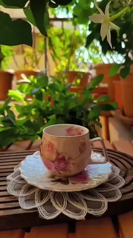 #صباحو #قهوةبالحب☕♥️ #فيروز #فيروز_وفنجان_قهوة #الشعب_الصيني_ماله_حل😂😂 #الهاشتاقات_للشيوخ #xplore 