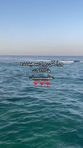 خالاتيي/الله يخليهم لي❣️@رآء. @Raghad @REEM 