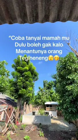 #tegineneng #lampung #pesawaran #Halo #lampungpride #fyppppppppppppppppppppppp #🤭🤭🤭🤭