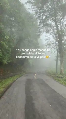 😌🥀#fyptoraja#soundterbaru#soundtorajaviral#musiktoraja#fyppppppppppppppppppppppp#torajasulawesiselatan#torayatiktok 