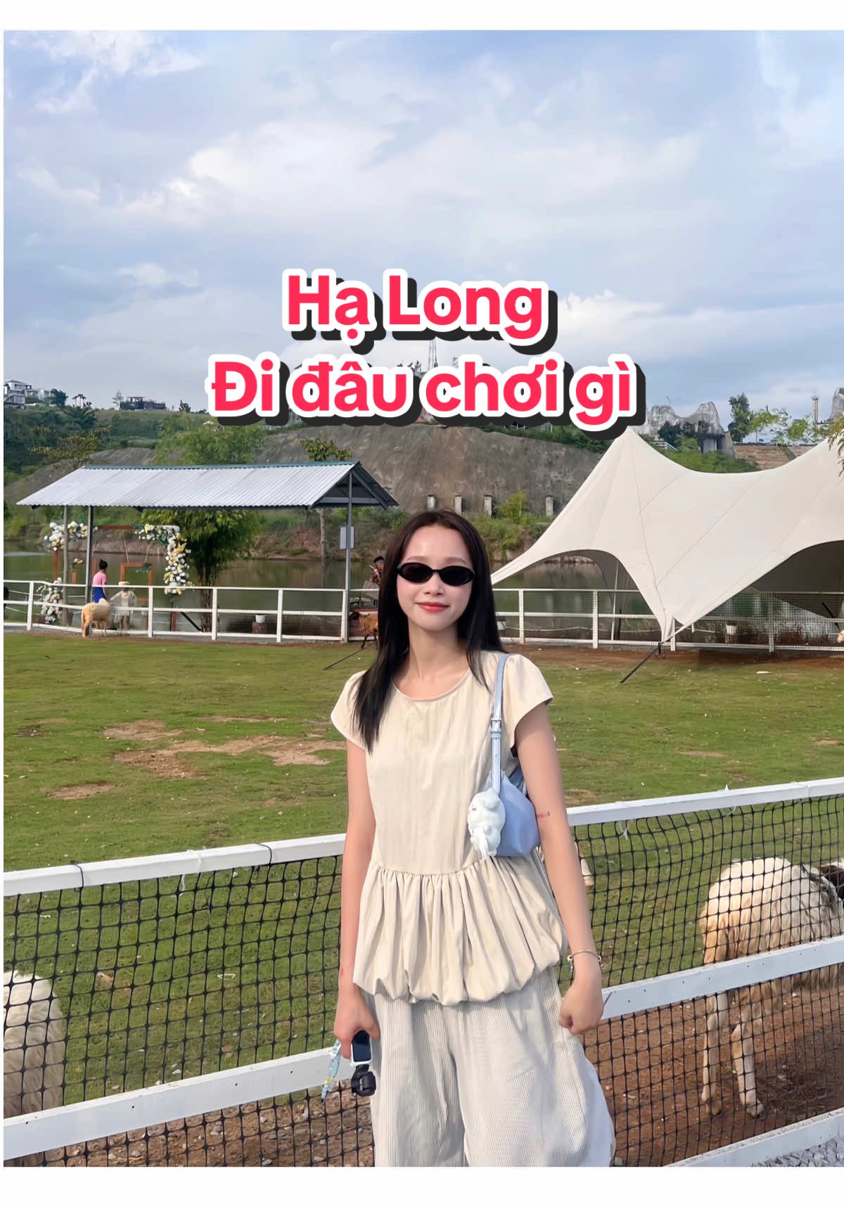 Hạ Long đi đâu chơi gì?☺️ #halong #추천 #tuanchau #Summer 