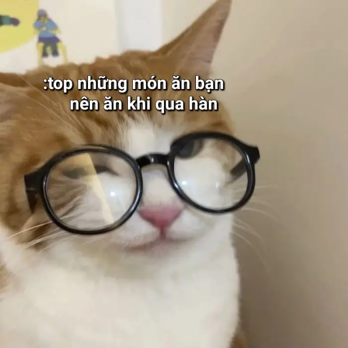 món cuối ngon nhất😋😋😋#topnhungmonanhanquocbannenan #xhuongtiktok #xhhhhhhhhhhhhhhhhhhhhhhhhhhhhhhhhhhhhhhhhhhhhhhhhhhh #xhhhhhhhhhhhhhhhhhhhhhhhhhhhhhhhhhhhhhhhhhhhhhhhhhhh #xhhhhhhhhhhhhhhhhhhhhhhhhhhhhhhhhhhhhhhhhhhhhhhhhhhh #seventeen17_official #mingyu @SEVENTEEN 