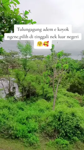 #villagelife 