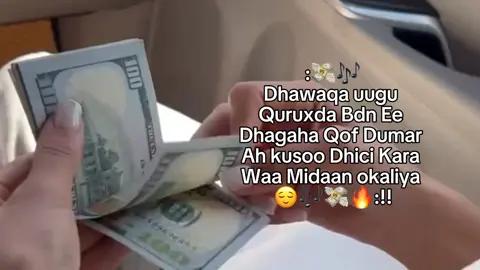 Money talks 🎶💸🔥#FvvGurl_Mikasuu💐💋 #money #moneytalks #tiktokviral #tiktok #Elissa #girls #fyy #🎀🌷 #foryo #elissalovers #virallllllllllllll #elissagirl #fyppppp #fyp 