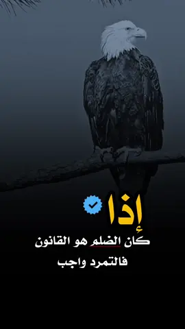 #عباراتي_من_القلب #عبارات_جميلة_وقويه😉🖤 #مشهد_قوي✅ #عبودلديكم_انا_لا_خوف_عليكم😂💔 