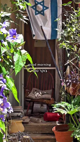 Boker tov  #goodmorning #bokertov #israel #israeli #telavivian #israelinstagram #kitten #catlover #coffeetime #morning #visitisrael #telavivcity #telavivyafo #telavivoftheday #telavivlife #Lifestyle #middleeast 
