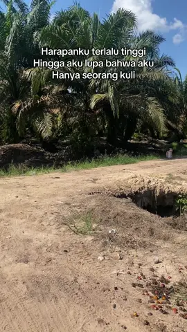 #fy #fyp #fyppppppppppppppppppppppp #fyppage #fyourpage #kalimantantimur #kulisawit #sawitontiktok #fypviraltiktok🖤シ゚☆♡ #kalimantan #sawit #anakrantau #fypviralシ 