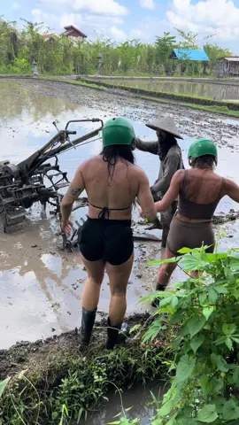 Bule cantik bantuin bahak sawah di Bali