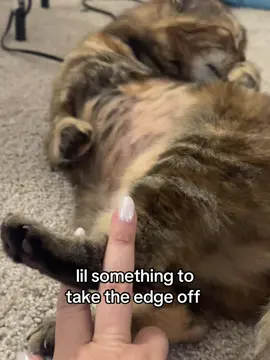 🐾 🚬 #somethingtotaketheedgeoff #cat #catsoftiktok #orangecatbehavior #trending #viral #vid #fyp #foryou #funny #catvideo 