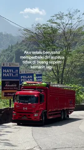 🥺 #fyp #trukganteng #malalasodrek #minangtiktok 