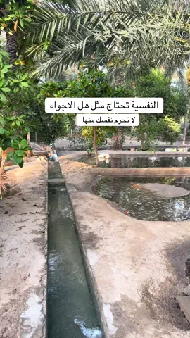 #اكسبلور  #اللهم_صل_على_محمد_وآل_محمد🙏💖  اجواء تعطيك طاقة اجابية واوقات سعيدةتاخدك الى عالم السعادة والسرور 🥰😍الله يرزقنا ويرزقكم كل ماتتمنوه  🤲🤲