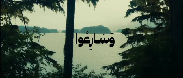 وَاللَّهُ يُحِبُّ الْمُحْسِنِينَ... #محمد_ايوب #سورة_آل_عمران #تلاوات #quran 