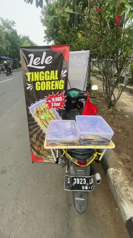 Sudah buka ya #leletinggalgoreng #lelelamongan #lelekonsumsilamongan #budidayalelelamongan #fyp #lamongan 