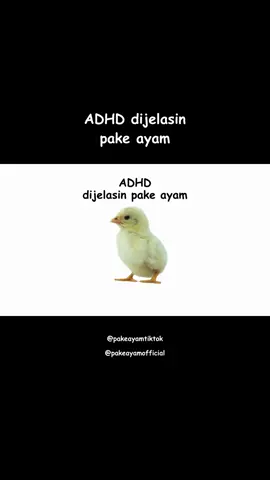 ADHD dijelasin pake ayam