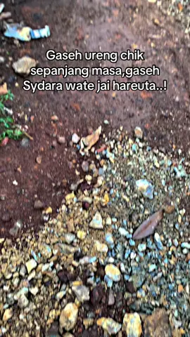 🥹