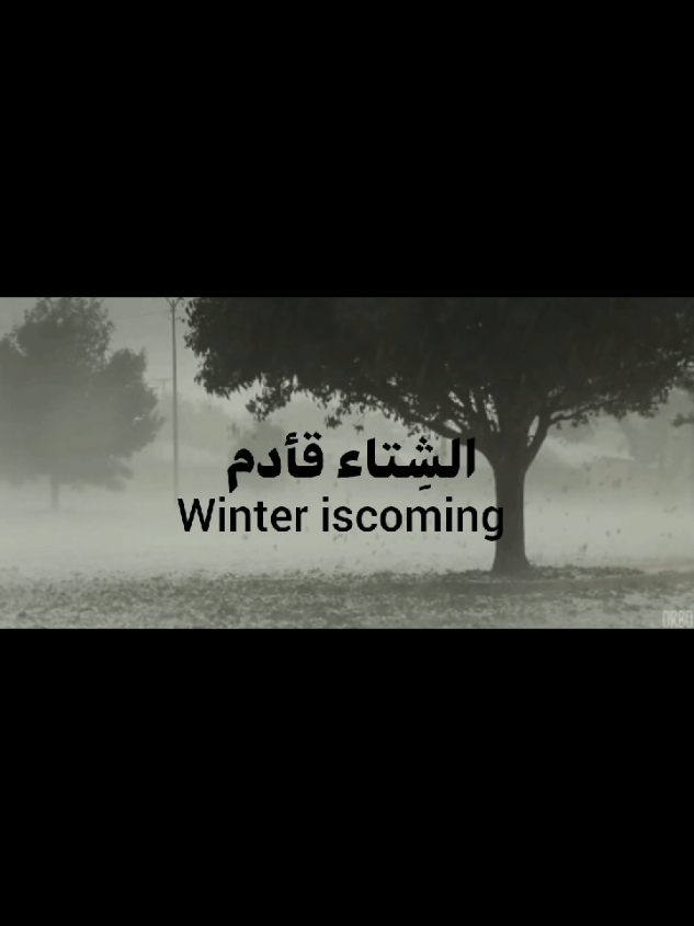 الشتاء قادم #الشتاء_قادم  #winter_is_coming #شتاء #العراق #المدرسه #الشتاء_قادم❄ 