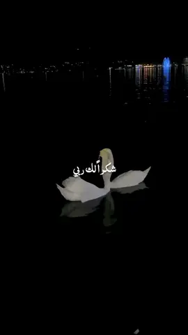 Shukran Laka Rabbi ♥️ #ALLAH #MUHAMMAD #yaseenwrites #foryoupagе #foryou #viralvideos #muslimstiktok #nasheed #viral #unfreeze #arabictiktok #growmyaccount #unfreeze #fyp 